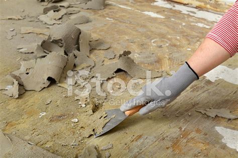 Check spelling or type a new query. Worker Using Putty Knife for Cleaning Floor Stock Photos ...