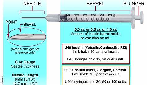 Insulin Syringe Sizes Chart