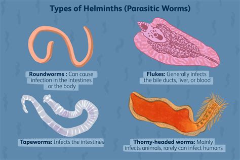 Parasitic Worms Images