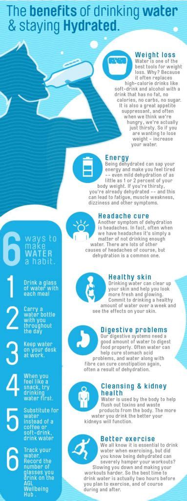 the benefits of drinking water and staying hydrated infographic facts