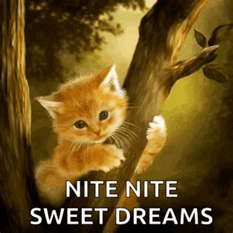 Nite Sweet Dreams  Nite Sweetdreams Nightnight Discover And Share S