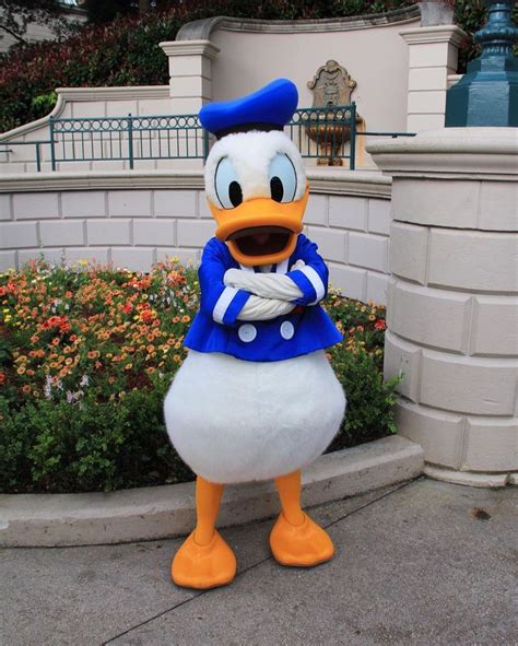 Disneyland Resort Paris Donald Duck With Images Disney Disney