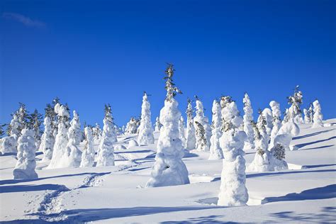 Travel Trip Journey Lapland Finland