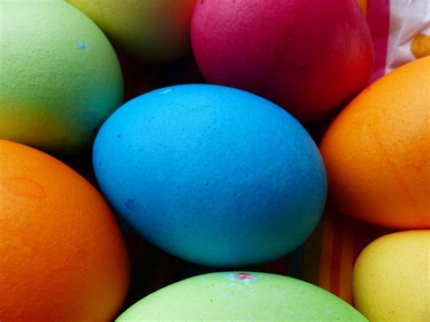 Egg Colorful Easter Eggs · Free Photo On Pixabay