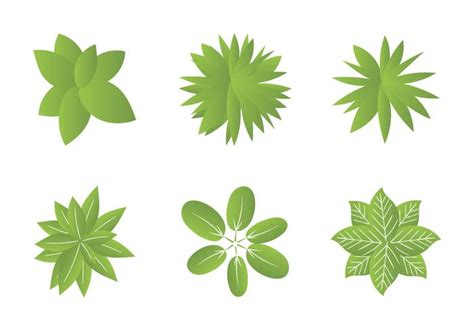 Free Plant Top View Vector Illustrations 96921 Vector Art At Vecteezy