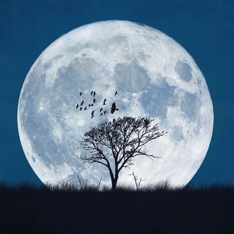 24 jul 2021 at 05:37 am. 8 Lunar Phases Of Moon - From New Moon To Full Moon To New ...