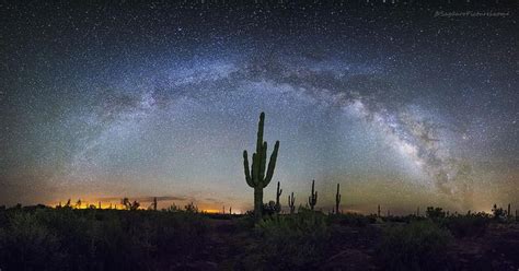 Starlight And Saguaros Stunning Desert Night Sky