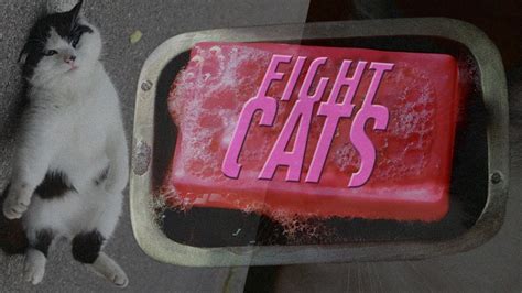 Fight Cats Trailer Re Upload Youtube