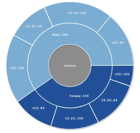 Multi Level Pie Chart Data Viz Project