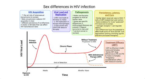 How Sex Differences Can Affect Different Phases Of Hiv Infection Hiv