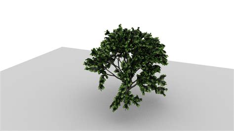 How To Render Maya Paint Effect Tree Mesh With Arnold In Maya 2020
