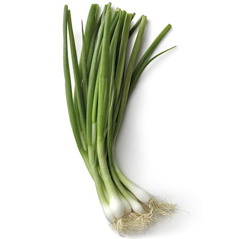 The bright green tops and bulb are both edible and are sold in bunches or bags. Onions, Green | Produce Market Guide