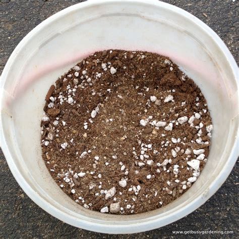 Creating The Perfect Sand Soil Mix For Your Succulents Succulent Source