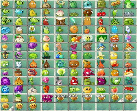 Image All Pvz2 And Pvz Chinese Plant Seed Packetspng Plants Vs