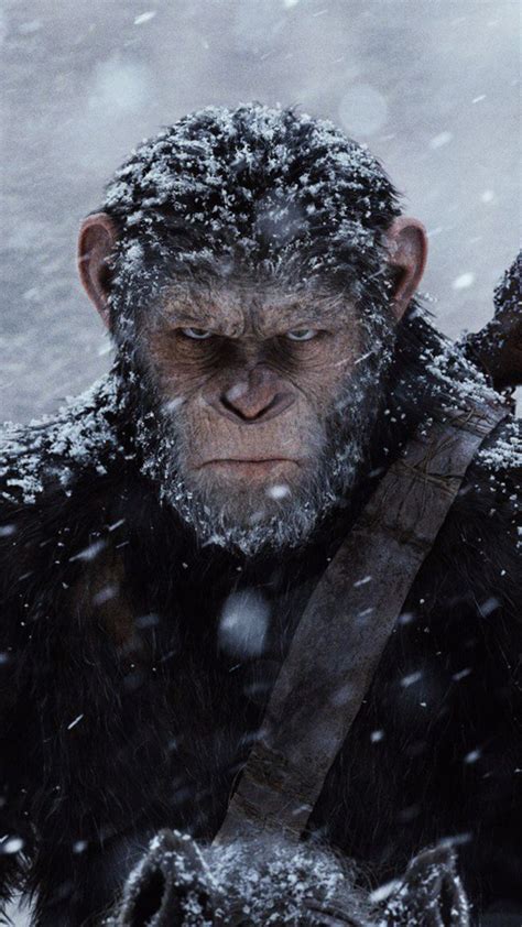 Wallpaper War For The Planet Of The Apes Ape 4k Movies 12793