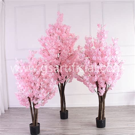 Gst215 Bonsaihouse Plantpotted Plant Mini Cherry Blossom Tree