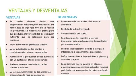 Ventajas Y Desventajas De Los Alimentos Procesados Alimentos De