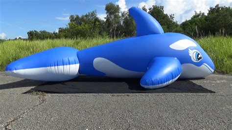 Kids are having fun in the pool with their big whale willy! Inflatable World 3m Blue Whale Pool Toy Inflation - YouTube