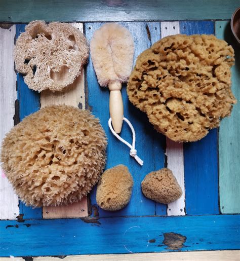 Advantages Of Using Natural Sea Sponge Riw Spa And Accessories Store