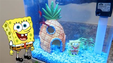 Setup The Best Spongebob Fish Tank Decorations Guide 2019