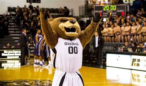 Eight Reasons Oakland University Is Pawriffic Go Grizzlies