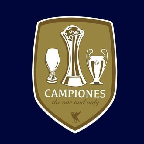 Home Design 204d78 Uefa Champions League Winners Badge
