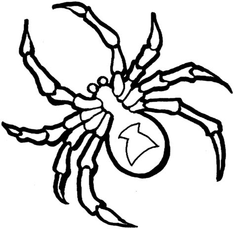 Black Widow Spider Coloring Pages Colorsd