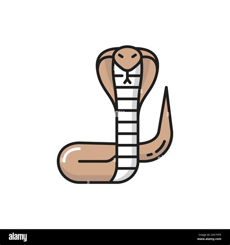 Thailand König Cobra Viper Schlange Isoliert Farblinie Symbol Vektor