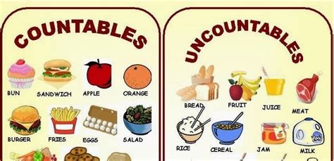 Countable And Uncountable Nouns English Grammar A To Z