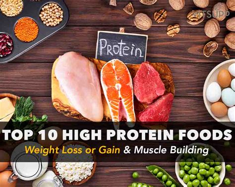 High Protein Foods List For Weight Loss Gain And Muscle Building
