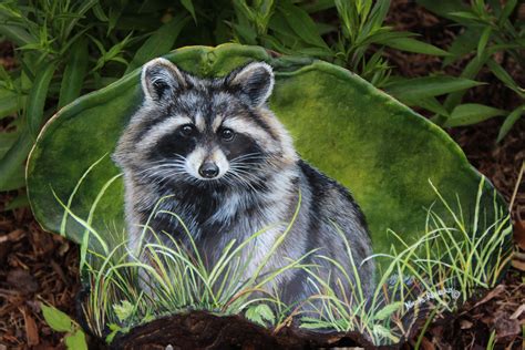 I Painted This Raccoon On Tree Fungus It S A Very Unique Canvas To Use