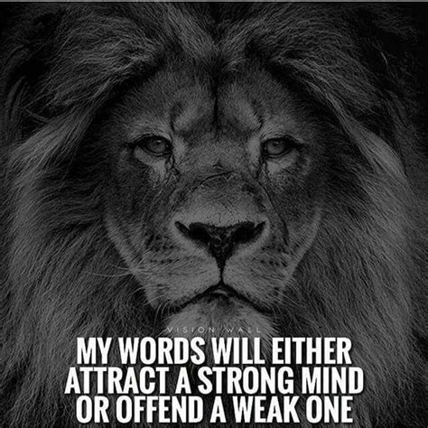 Truth Lion Quotes Warrior Quotes Badass Quotes