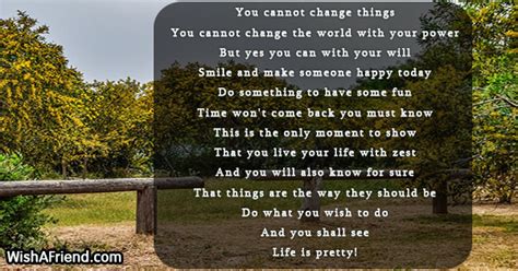 You Cannot Change Things Inspiring Poem