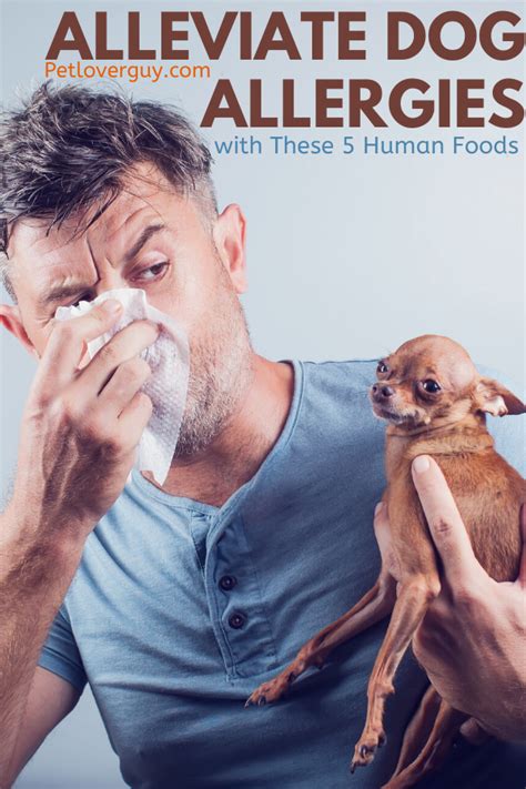 Alleviate Dog Allergies With These 5 Human Foods Dog Allergies Dog