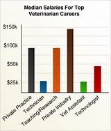 Average Annual Salary For A Vet Tech