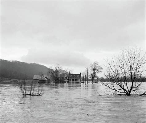 West Virginia Flood 1936 Photograph By Granger Fine Art America