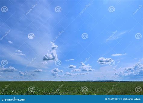 Blue Sky And Beautiful Cloud With Meadow Tree Plain Landscape