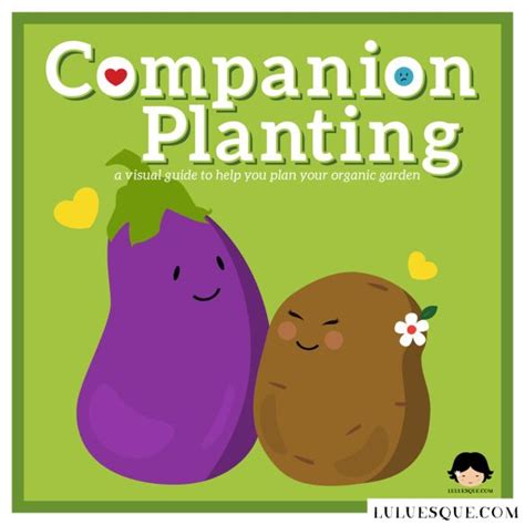 Companion Planting Friend Or Foe Luluesque Companion Planting