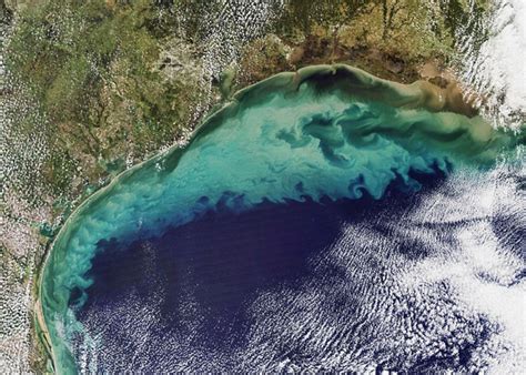 Die abschwächung des golfstromes gilt als eine der ursachen für die vermehrt in europa auftretenden hitzewellen. Gigantische Todeszone im Golf von Mexiko - Wochenschau ...