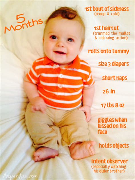Keep up with your baby's development with personalised weekly newsletters. 5 Months Old! - Aspen Jay