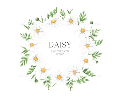 Watercolor Daisy Clipart Chamomile Spring Flowers Hand Etsy