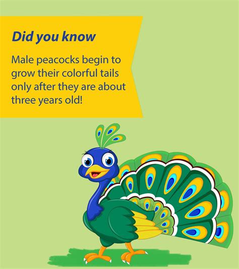 Did You Know Facts For Kids