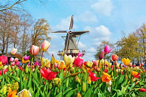 How To Visit Keukenhof Gardens And Lisse Tulip Fields Netherlands 2022