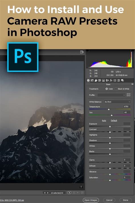 How To Install And Use Camera Raw Presets In Photoshop Artofit