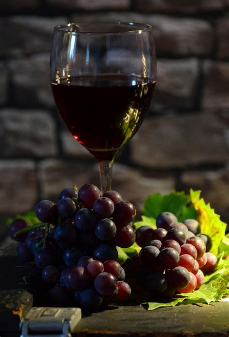 Wine Glass Grapes Wine Red Grapes Red Wine Backlighting Still