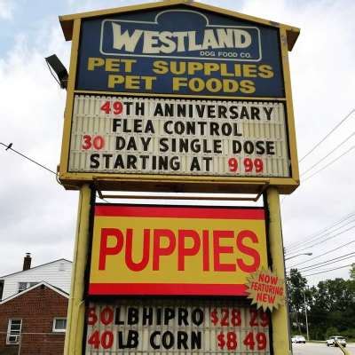 Health benefits you can really see: Westland Dog Food Company - Westland, MI - Pet Supplies