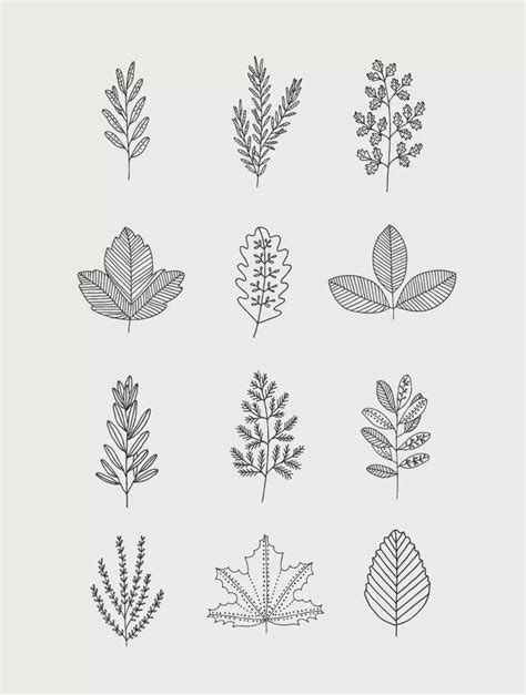 30 Easy Ways To Draw Plants And Leaves Leaf Drawing Plant Drawing
