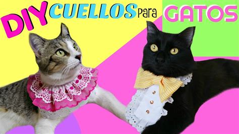 C Mo Hacer Collares Para Gatos F Cil Y R Pido Youtube