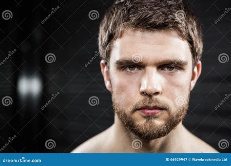 Determined Muscular Man Looking At The Camera Stock Image Image Of