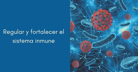 Fortalecer Sistema Inmune Con Inmunomoduladores Eurolife